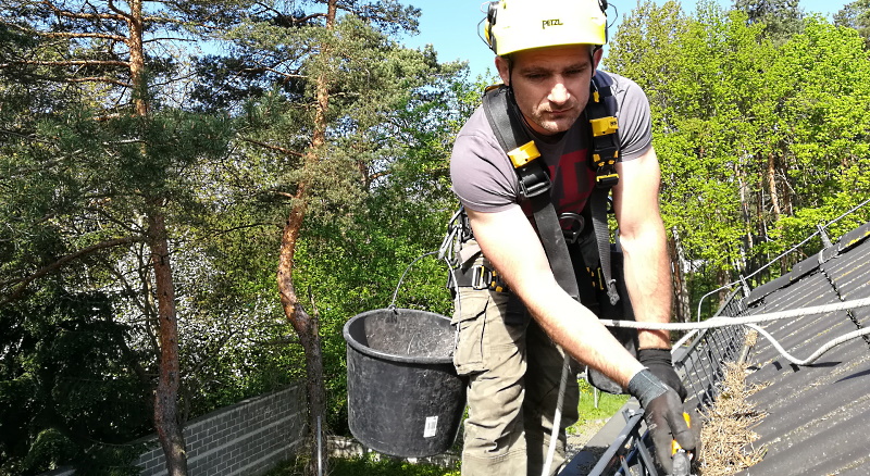 North York  EAVESTROUGH & GUTTER CLEANING